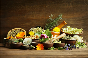 Ayurvedic Herbs That Transform Your Skin