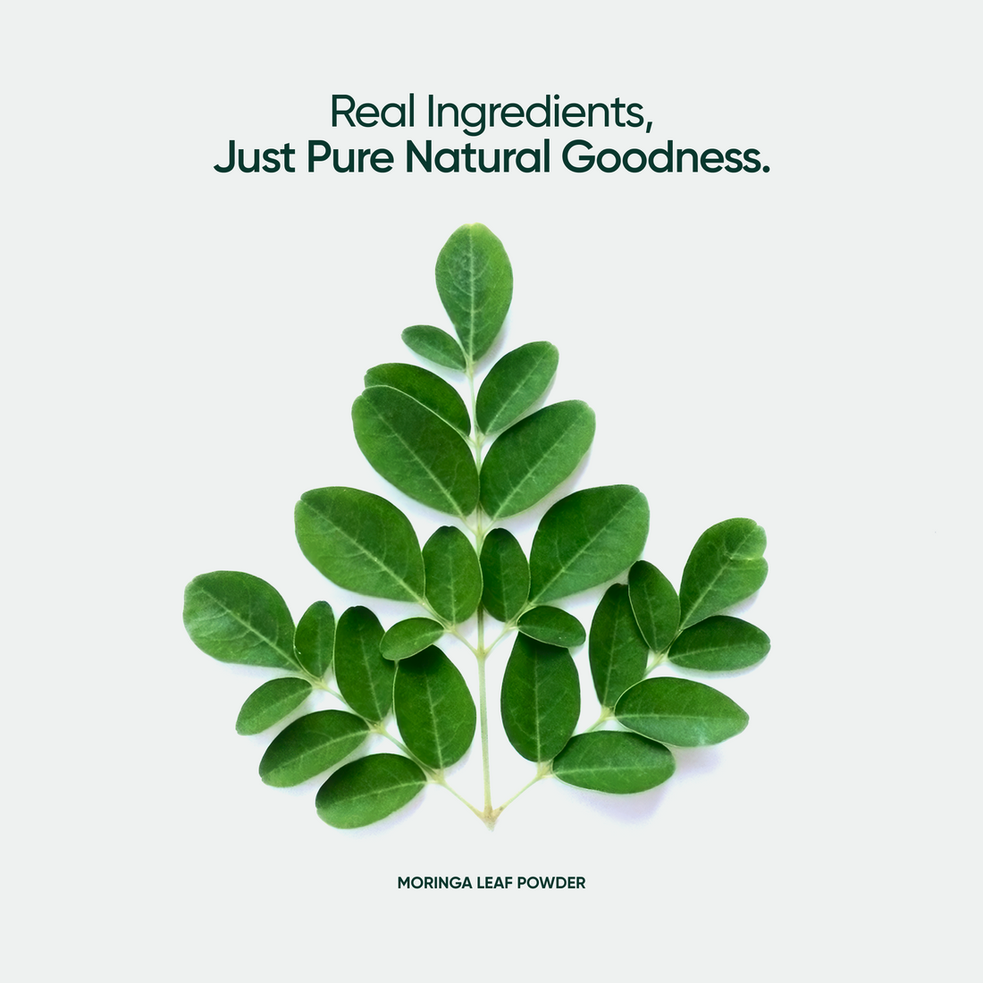 Natural Moringa Powder